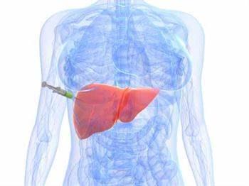 HbsAg: negatif Anti- Hbs: negatif Anti-HAV IgM: negatif Anti-HAV IgG: pozitif HCV RNA: