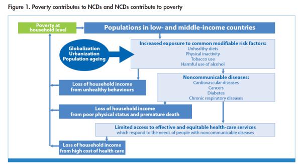 Yoksulluk ve Bulaşıcı Olmayan Hastalıklar Arasındaki Kısır Döngü Hane düzeyinde yoksulluk Küreselleşme Kentleşme Yaşlı Nüfus Sağlıksız davranışlara bağlı hane gelir kaybı Düşük ve orta gelirli