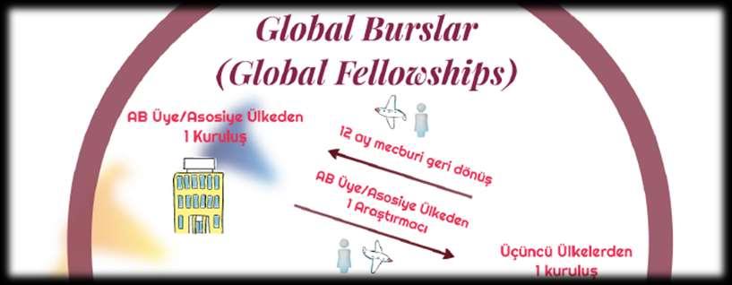 MSCA Bireysel Bursları (Individual Fellowships IF) Avrupa Bursları ndan temel farkı; araştırmacıların Avrupa dışındaki ülkelere