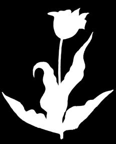 Tulipa micheliana Th. Hoog, 1902 MIHELIŇ ÇIGILDEMI Liliýalar maşgalasy Ýagdaýy. Derejesi III (VU). Ýitmek howpunyň abanmagyna ýakyn görnüş. Genofondy gorap saklamakda ähmiýeti.