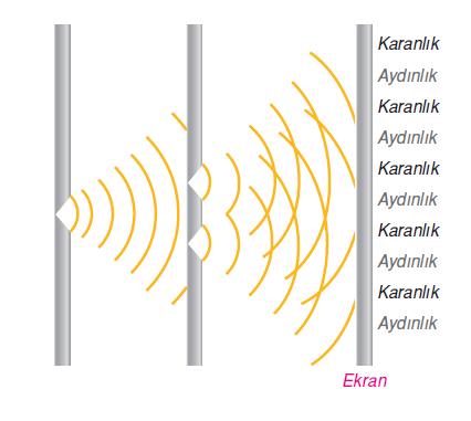 III. IŞIĞIN İKİLİ DOĞASI Işık dalga ve tanecik modeli olmak