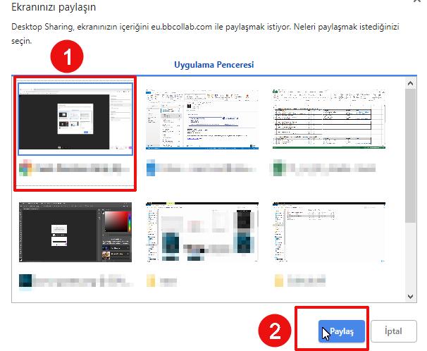 Collaborate Panelinde Uygulama/Ekran Paylaşımı