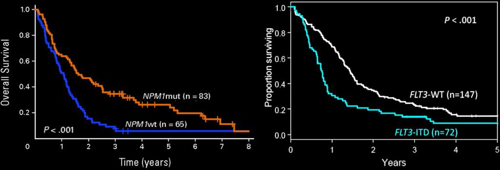 Moleküler Belirteçler CLGB çalışmaları-yaşlı hastalar Nucleophosmin geni (NPM-1) FMS-like tyrosine