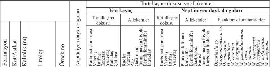 Sarı /