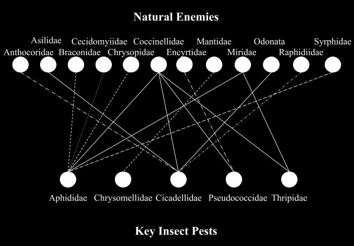 Figure 3. Graph network illustrates natural enemies associated with key insect pests of Salvia officinalis L.