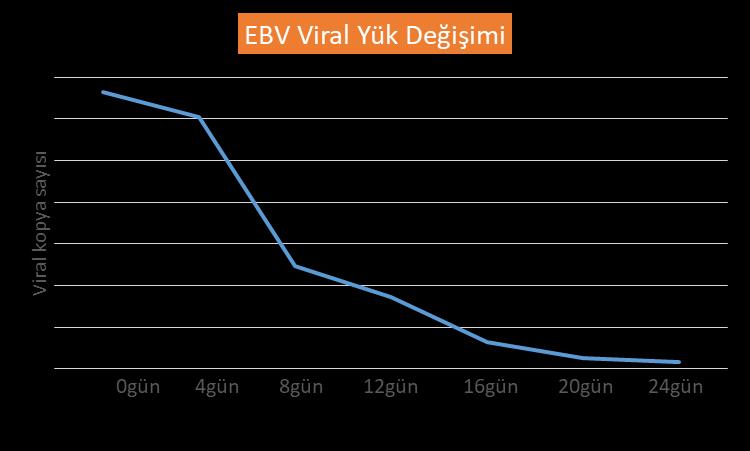 Bizim Sonuçlarımız Labcell Donör kaynaklı multi virüs VST lenfosit tedavisinin EBV sonuçları Viral Yük Yanıt zamanı: