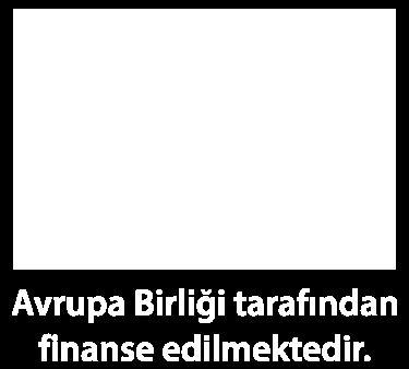 edilmektedir.