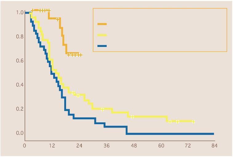 İmatinib + Hiper-CVAD: Tedaviye Göre Sağkalım Hasta sayısı Başarısızlık sayısı Hiper-CVAD+imatinib* 20 5