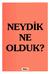 NEYDİK NE OLDUK? Birinci Basım: Kasım 2006