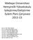 Maltepe Üniversitesi Hemşirelik Yüksekokulu İyileştirme/Geliştirme Eylem Planı Çerçevesi 2011-15