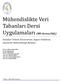 Mü hendislikte Veri Tabanları Dersi Uygülamaları (MS-Access/SQL)