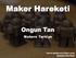 Maker Hareketi. Ongun Tan. Makers Turkiye. www.makersturkiye.com @makersturkiye