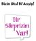 Orijinal Adı: My Weird School / Miss Suki is Kooky! Yazarı: Dan Gutman Genel Yayın Yönetmeni: Meltem Erkmen Çeviri: Andaç Oral Düzenleme: Gülen Işık