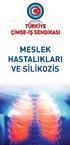 MESLEK HASTALIKLARI VE SİLİKOZİS