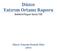 Düzce Yatırım Ortamı Raporu Sektörel Rapor Serisi VIII