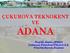 ÇUKUROVA TEKNOKENT VE ADANA. Prof.Dr. Kadir AYDIN Çukurova Teknokent Yönetici A.Ş. Yönetim Kurulu Başkanı