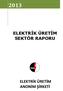ELEKTRİK ÜRETİM SEKTÖR RAPORU