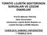TÜRKİYE LOJİSTİK SEKTÖRÜNÜN SORUNLARI VE ÇÖZÜM ÖNERİLERİ
