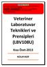 Veteriner Laboratuvar Teknikleri ve Prensipleri (LBV108U)