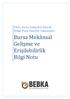 TR41 Bursa Eskişehir Bilecik Bölge Planı Hazırlık Çalışmaları. Bursa Mekânsal Gelişme ve Erişilebilirlik Bilgi Notu