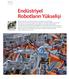 Endüstriyel Robotların Yükselişi