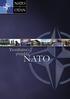 Yirmibirinci yüzyılda NATO