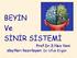 BEYİN Ve SİNİR SİSTEMİ. Prof.Dr.S.Naz Yeni slaytları hazırlayan: Dr Ufuk Ergün