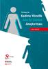 Türkiye de Kadına Yönelik Aile İçi Şiddet Araştırması. Özet Rapor