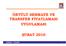 ÖRTÜLÜ SERMAYE VE TRANSFER FİYATLAMASI UYGULAMASI ŞUBAT 2010 İSMMMO - TESMER 1