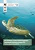 Deniz Kaplumbağası ve Yumuşak Kabuklu Nil Kaplumbağası Popülasyonlarının Araştırılması ve Korunması 2010