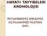 HAYAT-I TAYYİBELERİ KRONOLOJİSİ PEYGAMBERİMİZ EFENDİMİZ HZ.MUHAMMED MUSTAFA (SAV)