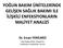 YOĞUN BAKIM ÜNİTELERİNDE GELİŞEN SAĞLIK BAKIMI İLE İLİŞKİLİ ENFEKSİYONLARIN MALİYET ANALİZİ