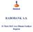 RABOBANK A.Ş. 31 Mart 2015 Ara Dönem Faaliyet Raporu