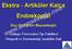 Ekstra - Artiküler Kalça Endoskopisi