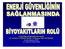 ELEKTRİK MÜHENDİSLERİ ODASI İÇ ANADOLU ENERJİ FORUMU, 29 Haziran 2007-NEVŞEHİR Prof.Dr.Hüseyin ÖĞÜT S.Ü. ZİRAAT FAKÜLTESİ