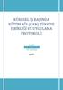 KÜRESEL İŞ BAŞINDA EĞİTİM AĞI (GAN) TÜRKİYE İŞBİRLİĞİ VE UYGULAMA PROTOKOLÜ