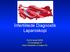 İnfertilitede Diagnostik Laparoskopi. Prof.Dr.İsmail ÇEPNİ İ.Ü.Cerrahpaşa TF Kadın Hastalıkları ve Doğum AD