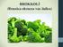 BROKKOLİ (Brassica oleracea var. italica)