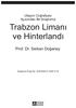 Trabzon Limanı ve Hinterlandı