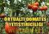 Örtüaltı domates yetiştiriciliğinde Beyazsineklere karşı farklı tonlardaki sarı renkli yapışkan tuzakların etkinliği 1