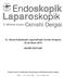 Endoskopik Laparoskopik