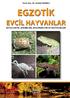 EGZOTİK EVCİL HAYVANLAR