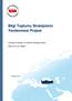 Bilgi Toplumu Stratejisinin Yenilenmesi Projesi. Genişbant Altyapısı ve Sektörel Rekabet Ekseni Mevcut Durum Raporu