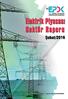 Elektrik Piyasası Sektör Raporu Şubat/2016