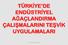 TÜRKİYE DE ENDÜSTRİYEL AĞAÇLANDIRMA ÇALIŞMALARINI TEŞVİK UYGULAMALARI. Prof. Dr. Ali Ömer ÜÇLER 1