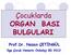 Çocuklarda ORGAN BASI BULGULARI