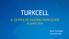 Turkcell Fourth Quarter & Full Year 2015 TURKCELL 4. ÇEYREK VE YILSONU SONUÇLARI 19 ŞUBAT 2016. Kaan Terzioğlu Turkcell CEO