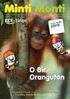 Minti Monti. O Bir Orangutan. Orangutanların Peşinde Kaya Tırmanışı Harika Bir Spor Parmaklarını Güçlendir Biraz İp, Biraz Karabina