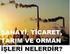 SANAYİ, TİCARET, TARIM VE ORMAN İŞLERİNDEN SAYILAN İŞLERE İLİŞKİN YÖNETMELİK