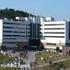 Kocaeli Üniversitesi Araştırma ve Uygulama Hastanesinde Yatan Hastalarda Düşme Sonuçlarının Değerlendirilmesi